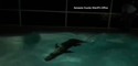 Giant gator takes dip in Florida backyard pool