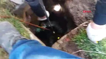 Niğde Kuyuya Düşen Köpeği Afad Ekibi Kurtardı