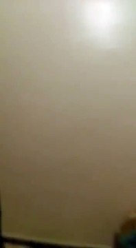 Le super Chardonneret bien dresse de mon frère Nourdine Lyamani