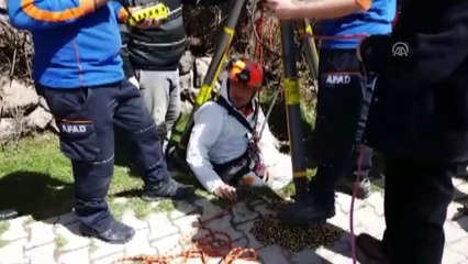 Kuyuya düşen köpeği AFAD kurtardı - NİĞDE
