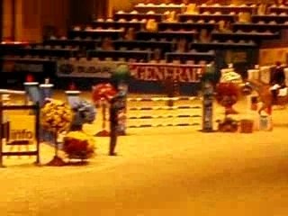Tour d'honneur du prix  salon du cheval (2007)