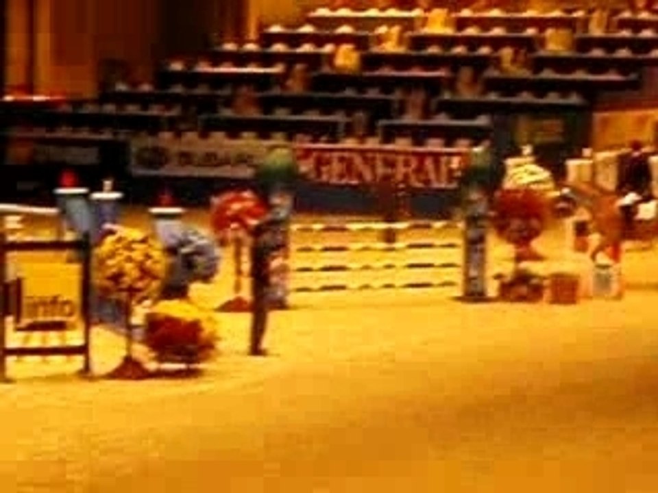 Tour d'honneur du prix  salon du cheval (2007)