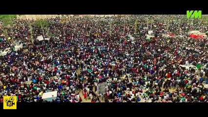 MADURAVEERAN - JALLIKATTU | VIDEO MEMES