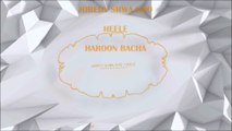 Haroon Bacha - Joredy Shwa Kho (Official) - Heele