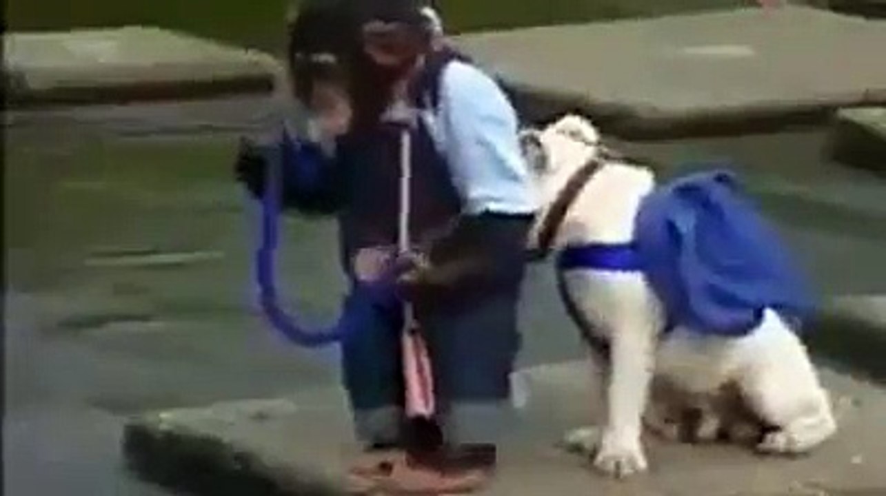 Maymun ve Köpeğin Sudan Geçme Maceraları