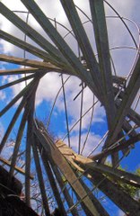 Monumentalart of Gustav Schubotz in PUBLIC PLACES