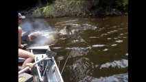 Des pêcheurs se font prendre en chasse par un anaconda géant