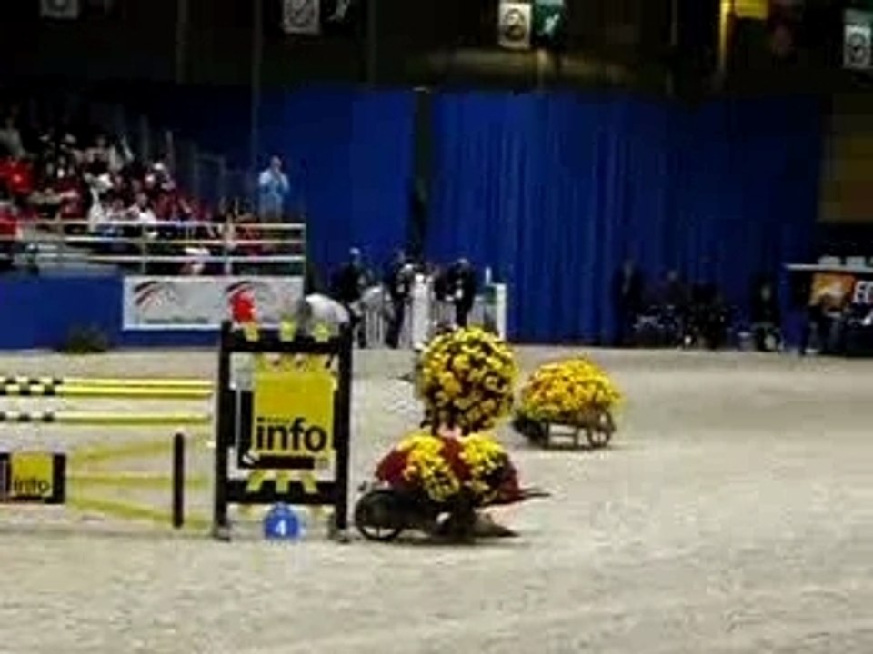 Grand Prix Poneys HARAS DE BORY (salon du cheval 2007) 1