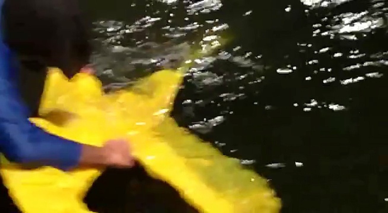Pescando un lazo amarillo