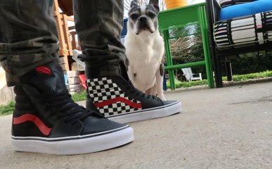 Shoe Palace x Vans SK8 High Checkerboard Shoe Review on Feet