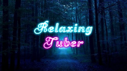 FORESTA NOTTURNA│NIGHT FOREST (Relax, Sleep, White Noise, ASMR)