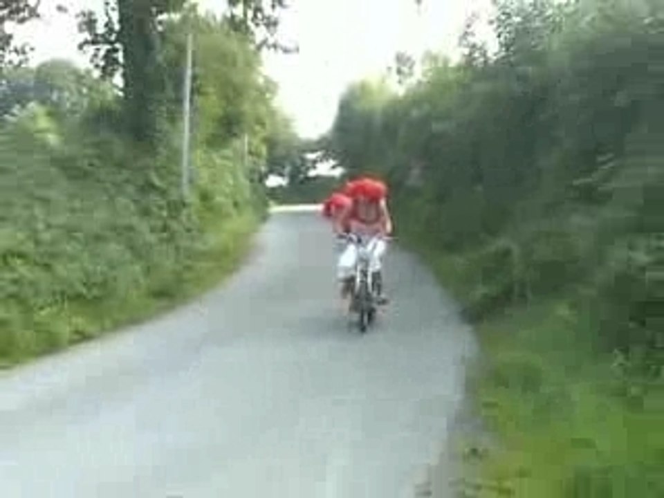 clip bergmann fashion canisy