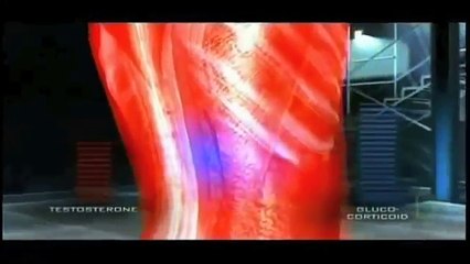 The scientific truth about steroids