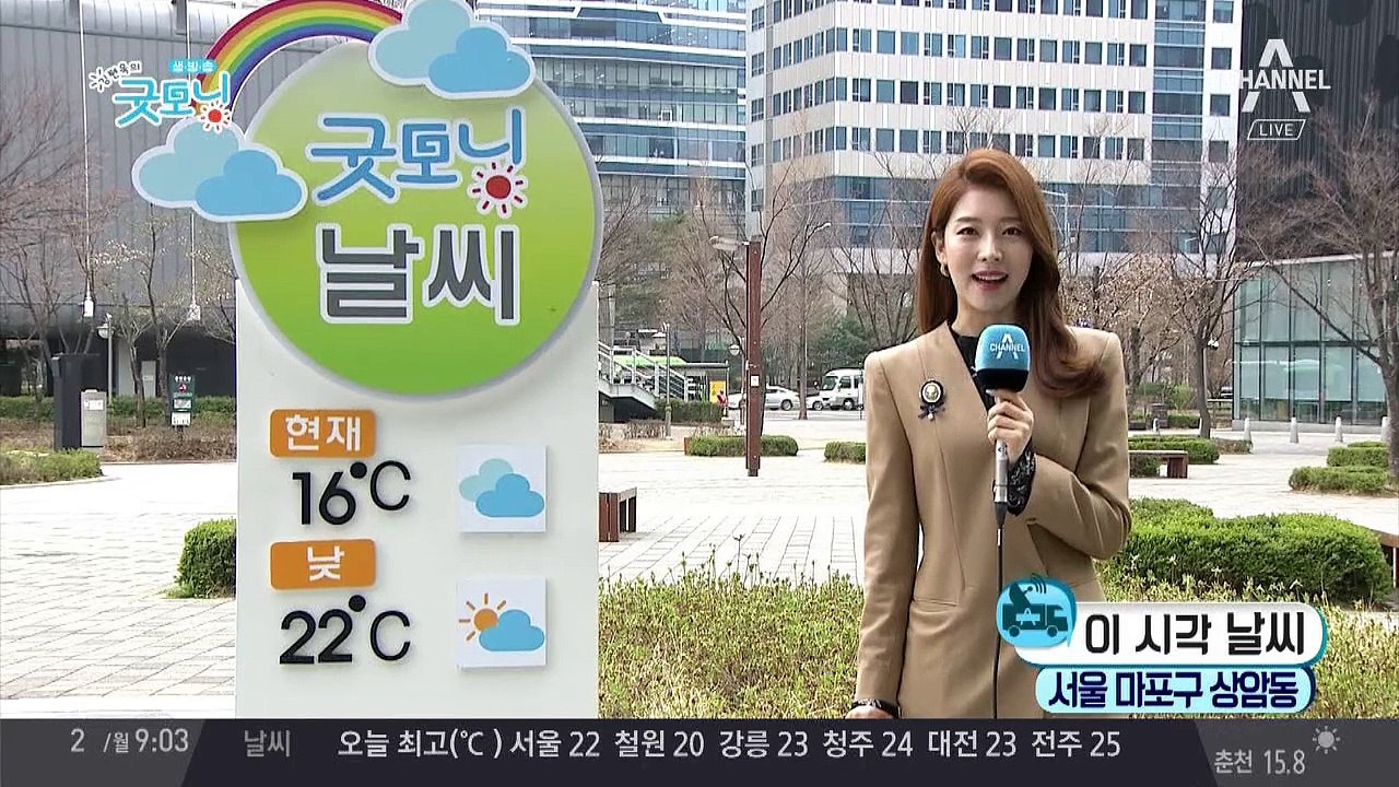 이번주 '봄꽃' 축제 시작, 내일까지 평년 기온 웃돌아