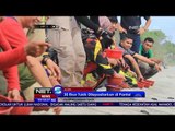 30 Ekor Tukik Dilepasliarkan di Pantai - NET 5