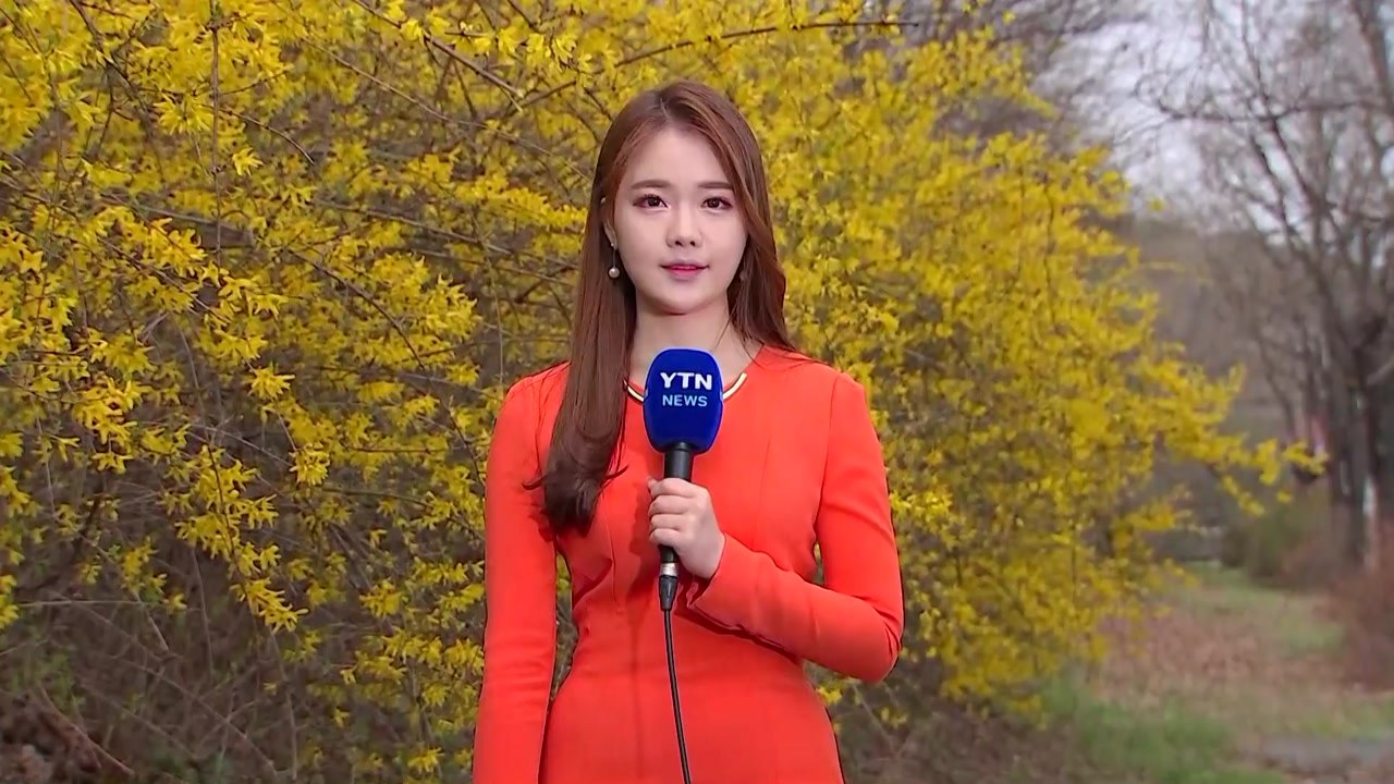 [날씨] 완연해진 봄기운, 서울 22도...봄꽃 활짝 / YTN
