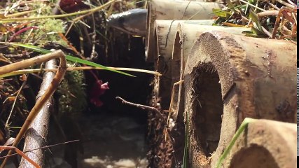 How To Make Simple Trap By Hand With Deep Hole And Bambo - Catch Fish And Crab In Simple Trap