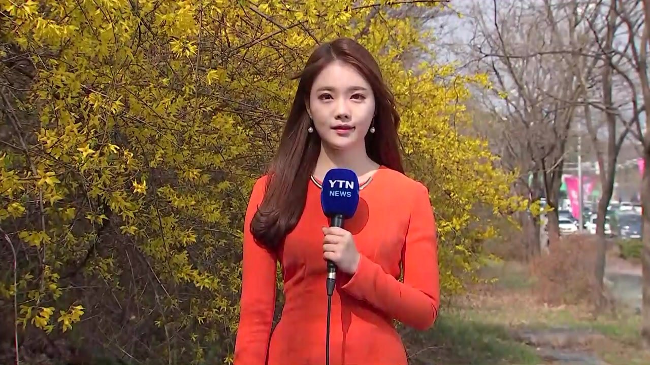 [날씨] 낮 동안 조금 더워요, 22.8도...봄꽃 만발 / YTN