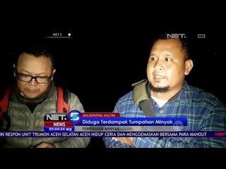 Lumba Lumba Porpoise Ditemukan Mati Akibat Tumpahan Minyak - NET 5