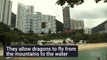 Here's why Hong Kong Skyscrapers Have Holes