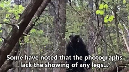10 Mysterious Creatures Caught on Tape