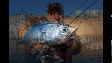 Savage Gear Squish Jig İle Süper Balıklar Tuttuk | Kalkan kardeşler jigging videoları | Kalkan kardeşler jigging videoları