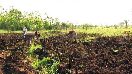 Hiling, la fête des fouets