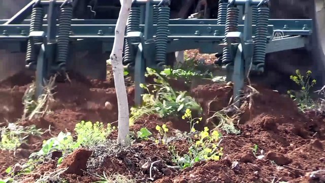 Bakan Fakıbaba'dan 'Erken destek' müjdesi - ŞANLIURFA