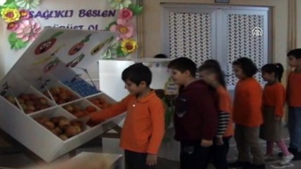 'Sağlıklı Beslen Dürüst Ol' Projesi - SAMSUN