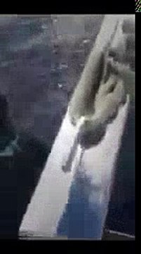 KARNINDAN YAKALANAN AVCI BALIK - (KUZU) | Kalkan kardeşler jigging videoları