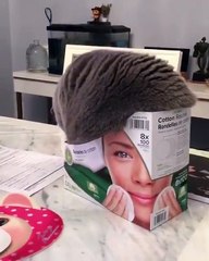 Mais si je rentre dedans, je te le dis...