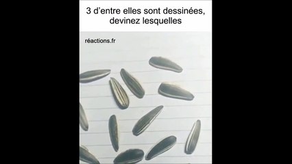 3 d'entre elles sont dessinnées, devinez lesquelles