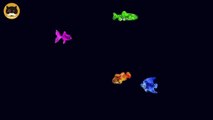 Cat Game on Screen - Catching Colorful Fish! FISH VIDEO FOR CATS TO WATCH.