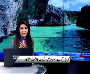 Charna island , karachi