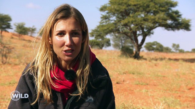 Découvrez les premières images de Wild, la course de survie , le nouveau jeu d'aventure d'M6 - Episode du lundi 2 avril à 21h00 - VIDEO