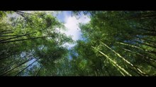 GHOST OF TSUSHIMA Trailer NEW Open World Samurai Game 2018