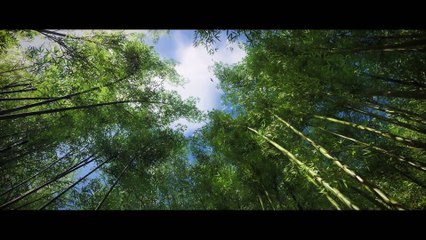 GHOST OF TSUSHIMA Trailer NEW Open World Samurai Game 2018
