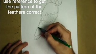 How to Draw a Macaw (Scarlet Macaw)
