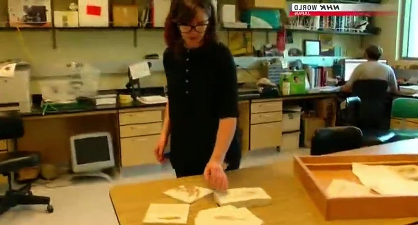 Science View S04E13 Ichthyosaur Research