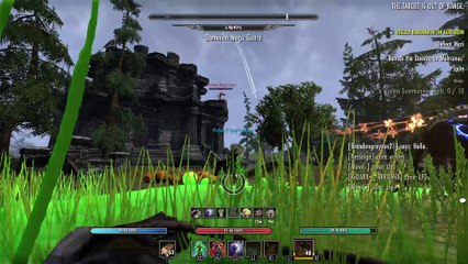 The Elder Scrolls Online: yellow seiging with red