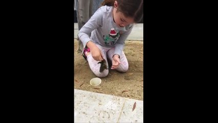 Baby ducklings rescued by six-year-old girl in Orange County