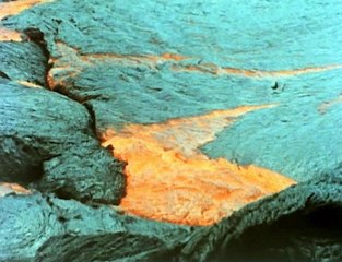 David Attenborough - Élő Bolygó - 12 - Új Világok