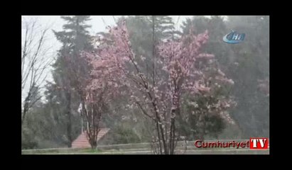 Bolu’nun yüksek kesimlerde kar yağışı