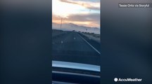 Driver records band of wild horses stampeding across Arizona road