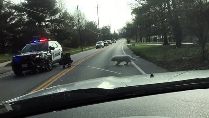 Good Deed on Good Friday