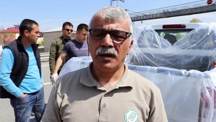 Mahsur kalan balıklar tahliye edildi - IĞDIR