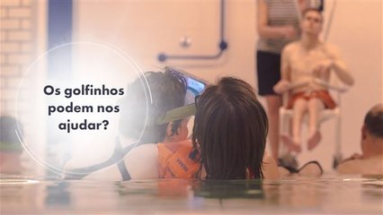 Os benefícios de nadar com golfinhos virtuais