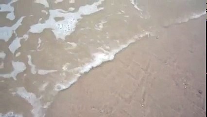 Nakon ovog snimka, gledaćete samo u stopala, dok šetate plažom. Neviđena situacija!