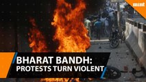 Bharat Bandh- Protests turn violent, deaths reported in UP, MP, Rajasthan