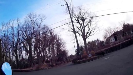 EDR February #3 (Helicopter Flies) 2017